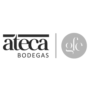 Bodegas Atteca - bedste producent i D.O. Calatayud