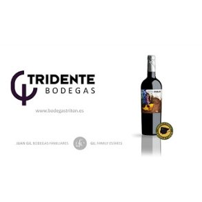 Bodegas Tridente