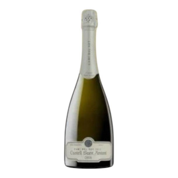Castell Sant Antoni Cami del Sot Brut