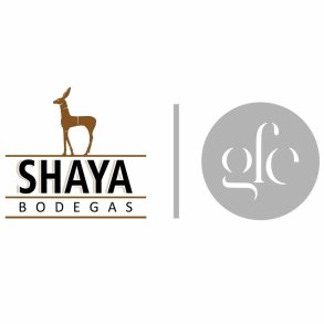 Bodegas Shaya - et af Ruedas bedste hvidvinshuse