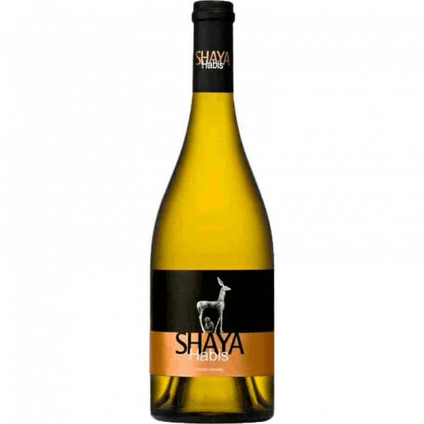 Shaya Habis 2018