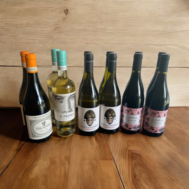 Den nordspanske smagekasse