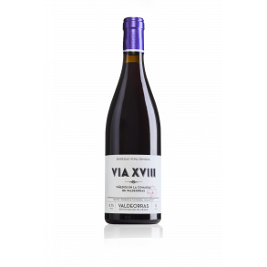 Vina Somoza VIA XVIII 2018