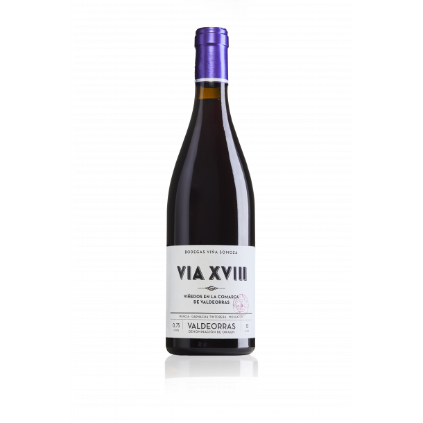 Vina Somoza VIA XVIII 2018