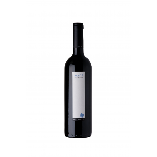 Alonso del Yerro Maria 2014
