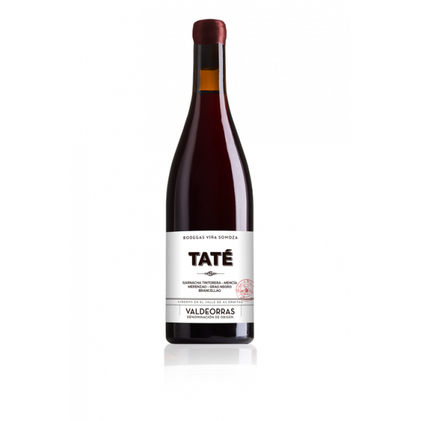 Vina Somoza Tat 2019