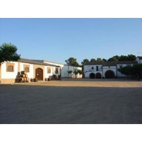 Bodegas Tridente