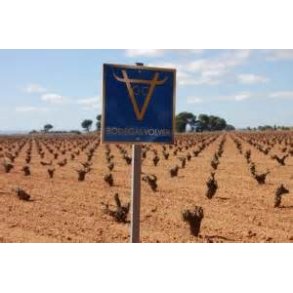 Bodegas Volver - supervin til prisen