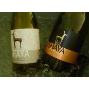 Bodegas Shaya - et af Ruedas bedste hvidvinshuse