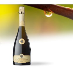 Castell Sant Antoni Gran Barrica 2015