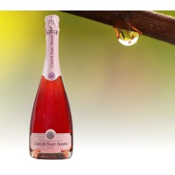 Castell Sant Antoni Gran Rosat Pinot Noir