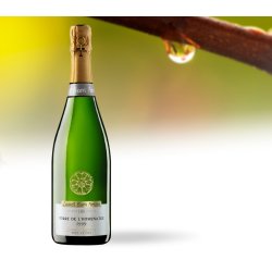 Castell Sant Antoni Torre de l'Homenatge 2005